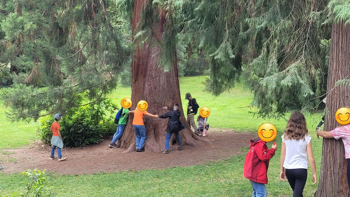 Kinder in der Wilhelma, erkunden einen Mamutbaum